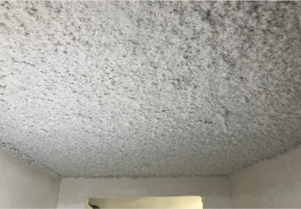 超細(xì)無機(jī)纖維噴涂-噴涂后